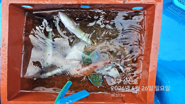 신신낚시 강구점 신신호_사진_20260426_18.jpg