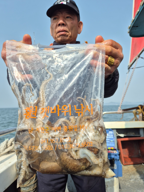 KakaoTalk_20260410_113746912.jpg