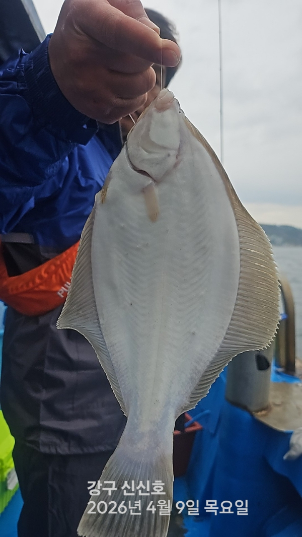 신신낚시 강구점 신신호_사진_20260409_1.jpg