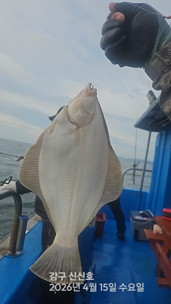 신신낚시 강구점 신신호_사진_20260415_6.jpg