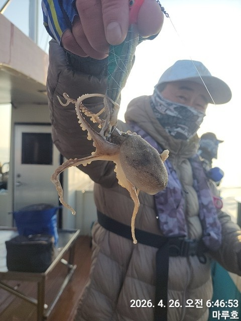 KakaoTalk_20260426_172836835_04.jpg