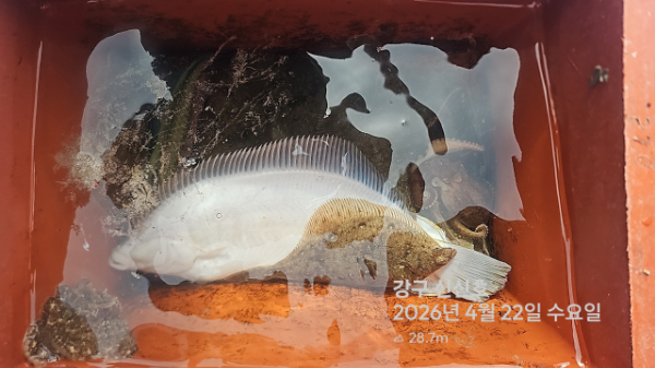 신신낚시 강구점 신신호_사진_20260422_11.jpg