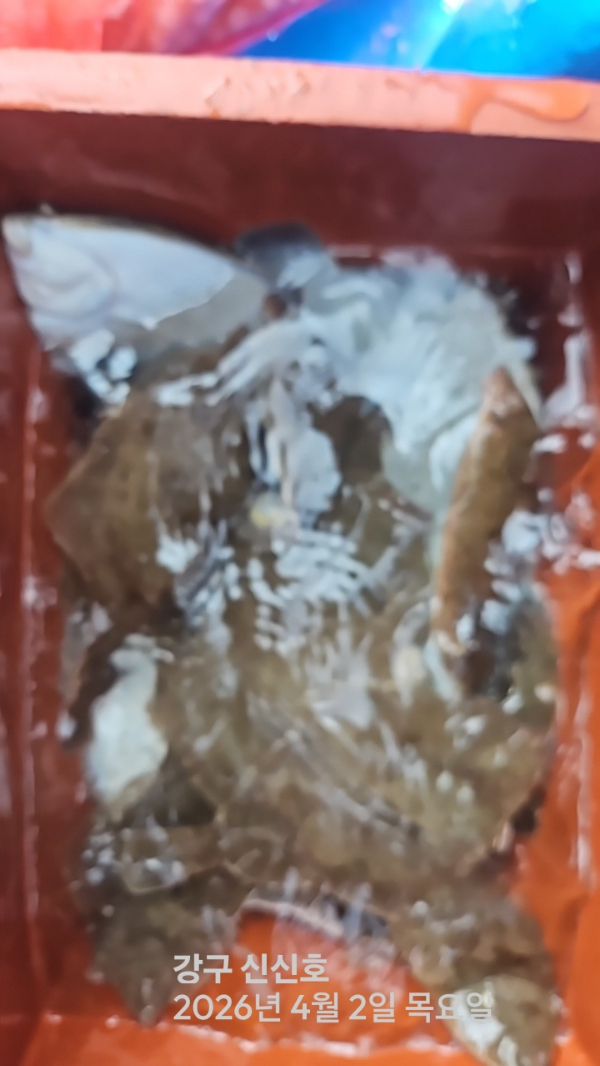 신신낚시 강구점 신신호_사진_20260402_19.jpg