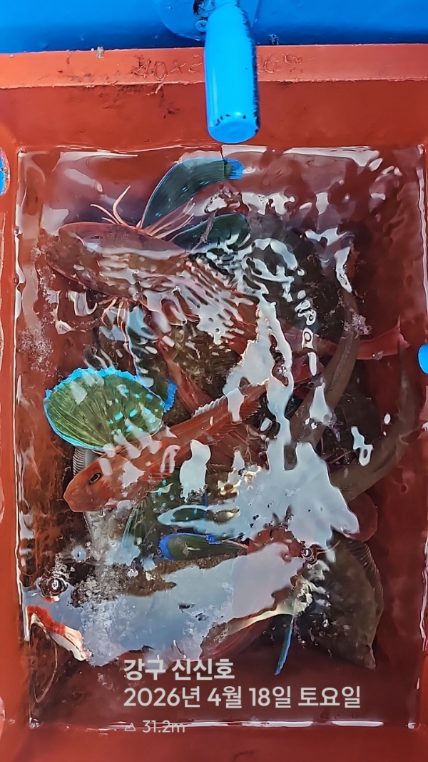 신신낚시 강구점 신신호_사진_20260418_19.jpg