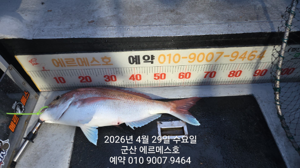 1000030993.jpg