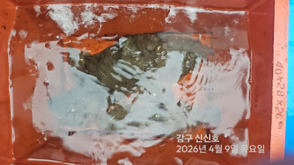 신신낚시 강구점 신신호_사진_20260409_17.jpg
