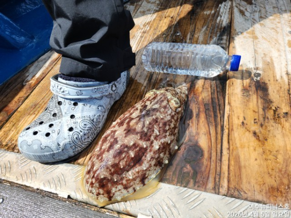 4월5일심해갑 (22).jpg