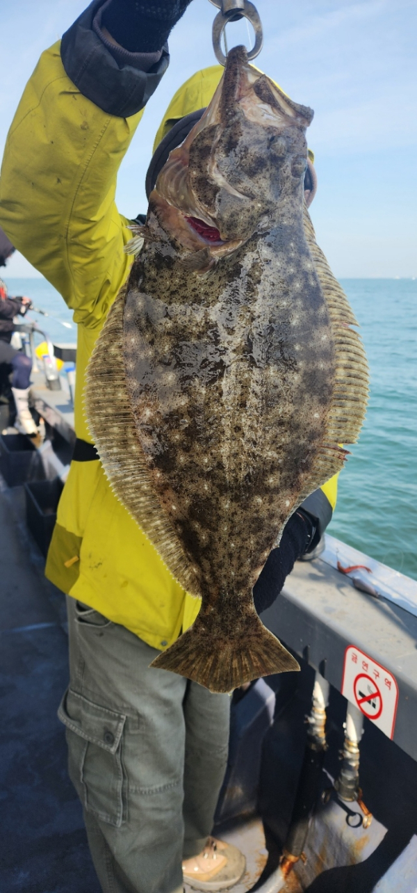 예지퀸호 농어외수질&어초낚시 경기인천권_사진_20260429_5.jpg