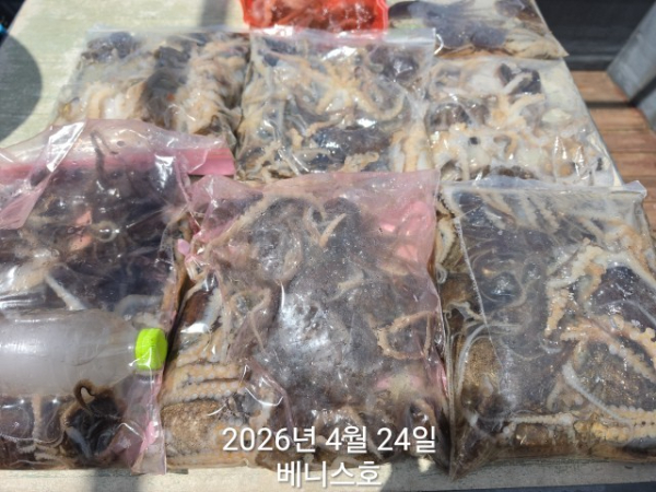 KakaoTalk_20260424_141325417_02.jpg