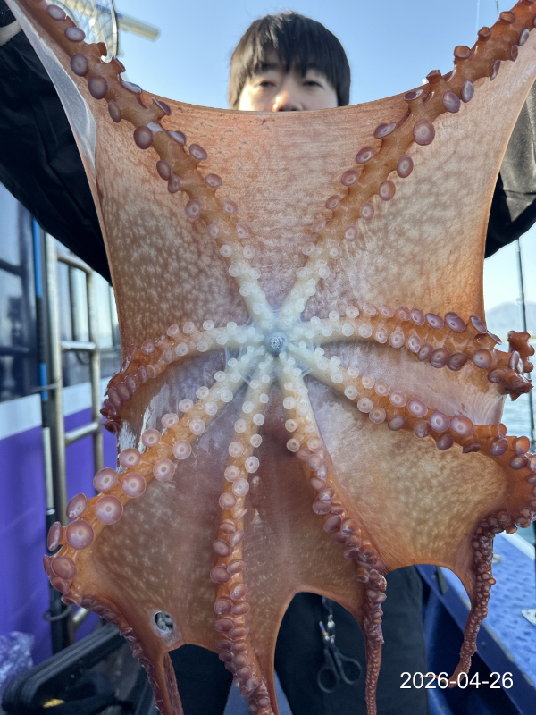 IMG_2391.jpeg