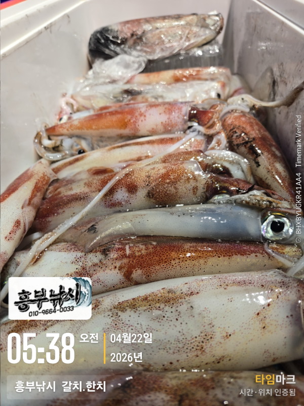 2026-04-22 05.38.03__(-흥부낚시  갈치.한치).jpg