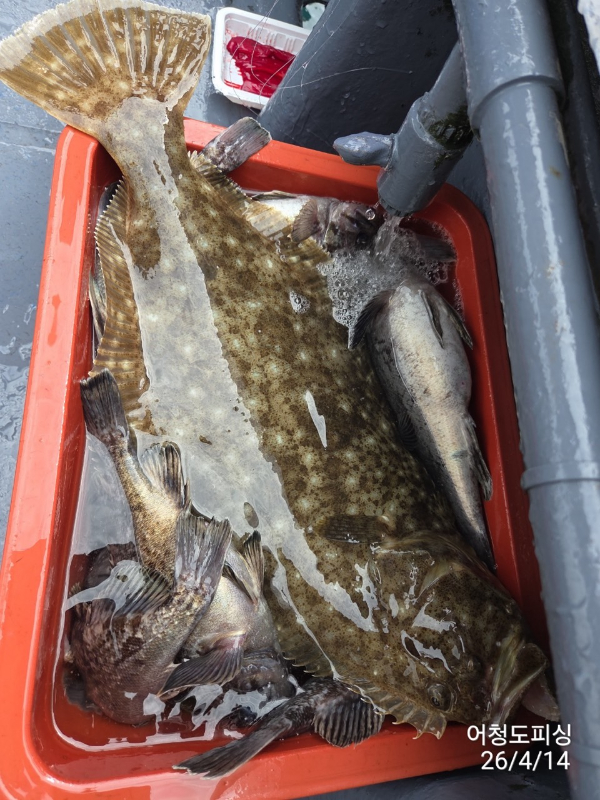 최강피싱 063.463.0800_사진_20260414_29.jpg