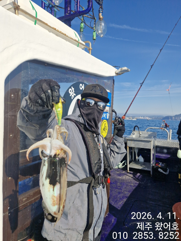 제주왔어호_사진_20260411_15.jpg