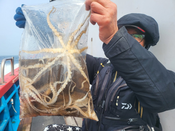 군산 선상낚시, 바다낚시 출조 전문 ☆서군산낚시☆_사진_20260411_8.jpg