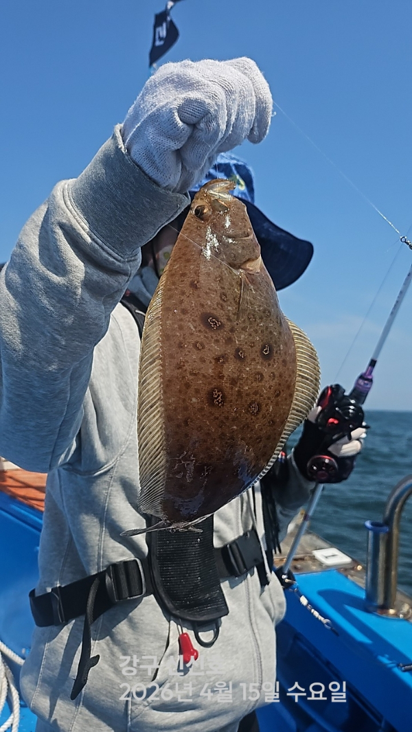 신신낚시 강구점 신신호_사진_20260415_8.jpg