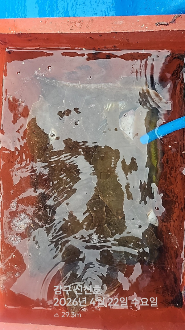 신신낚시 강구점 신신호_사진_20260422_17.jpg