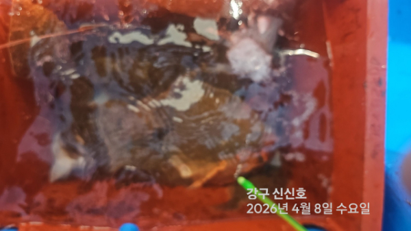 신신낚시 강구점 신신호_사진_20260408_20.jpg