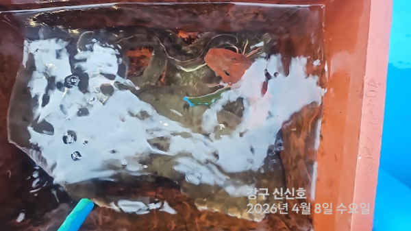 신신낚시 강구점 신신호_사진_20260408_11.jpg