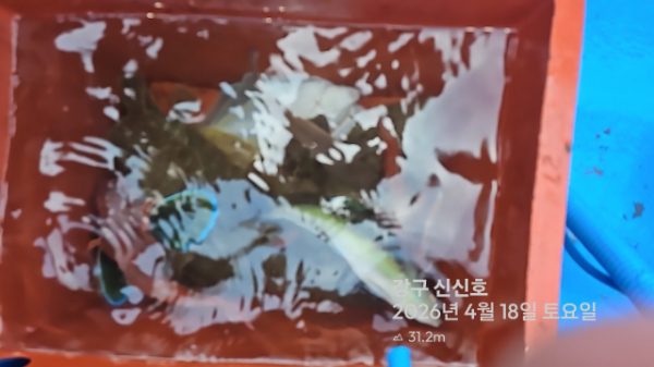 신신낚시 강구점 신신호_사진_20260418_18.jpg