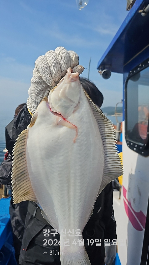 신신낚시 강구점 신신호_사진_20260419_6.jpg