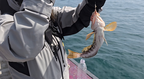 Screenshot_20260412_143848_Video Player.jpg