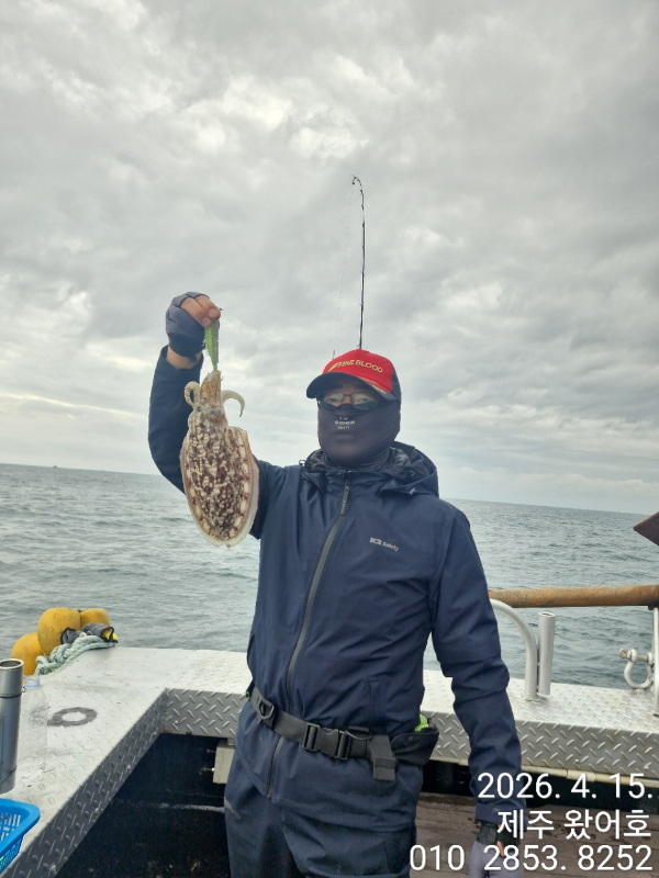 제주왔어호_사진_20260415_16.jpg