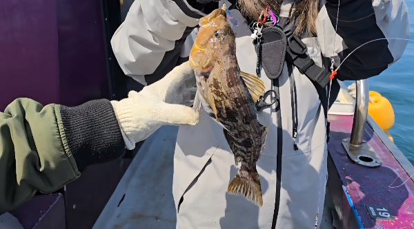 Screenshot_20260412_143514_Video Player.jpg