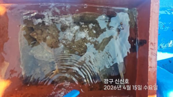 신신낚시 강구점 신신호_사진_20260415_12.jpg