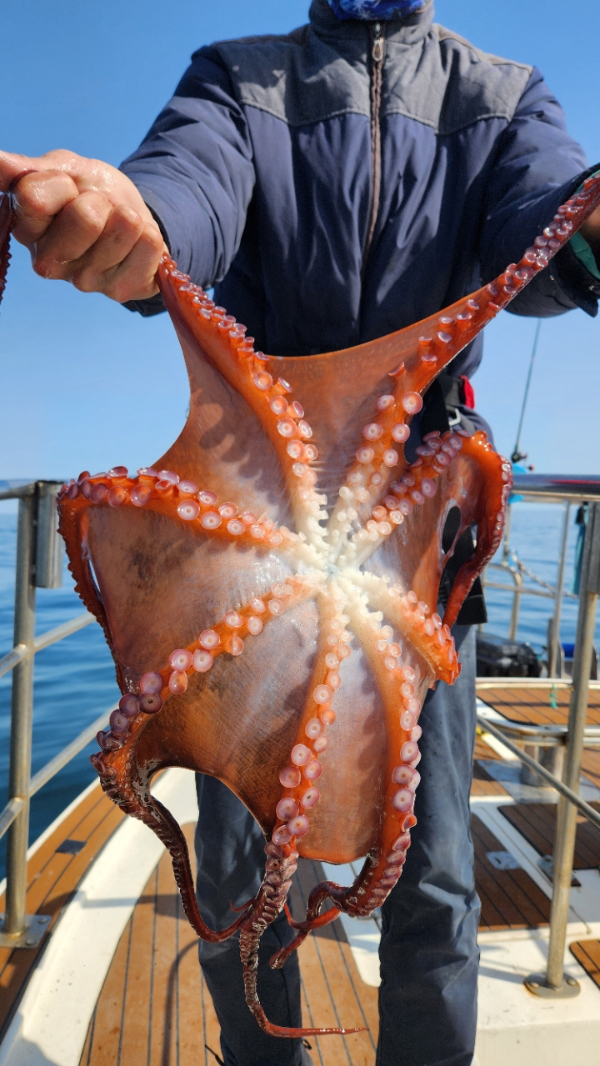 72CB0129-6742-4806-8ADA-298454B311AE.jpeg
