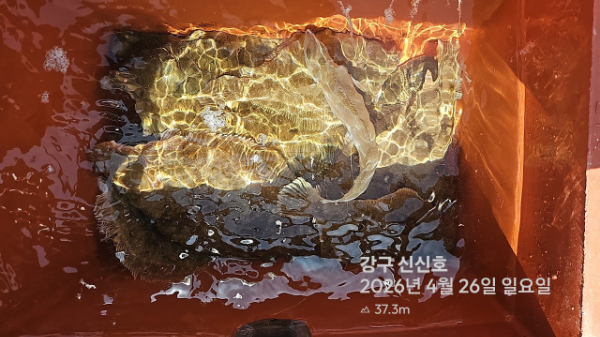 신신낚시 강구점 신신호_사진_20260426_15.jpg