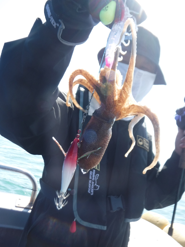 DSCF5350.JPG