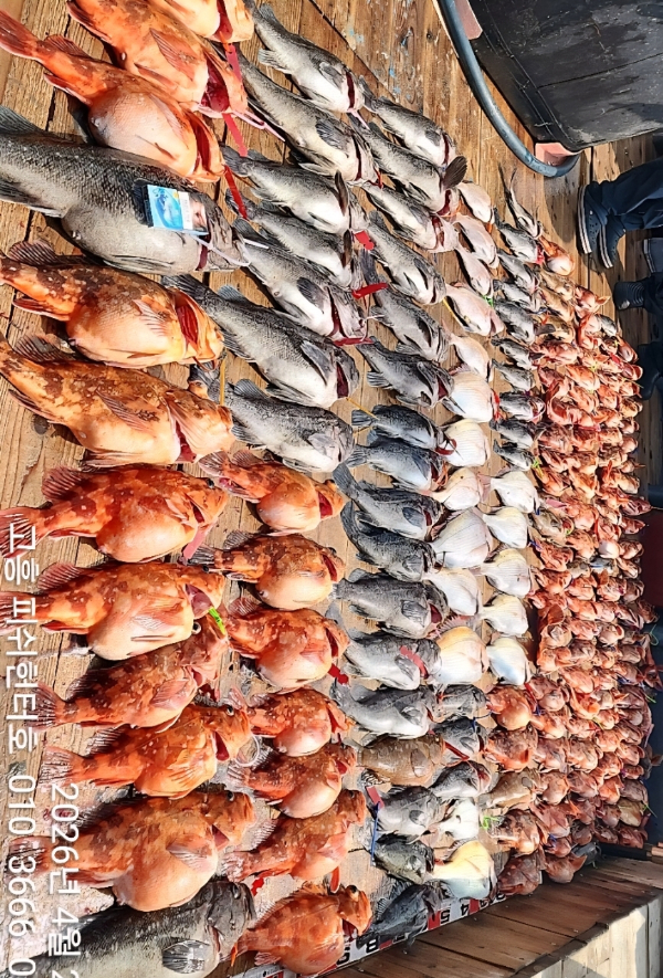 KakaoTalk_20260427_165122329_19.jpg