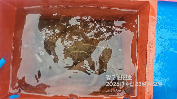 신신낚시 강구점 신신호_사진_20260422_20.jpg