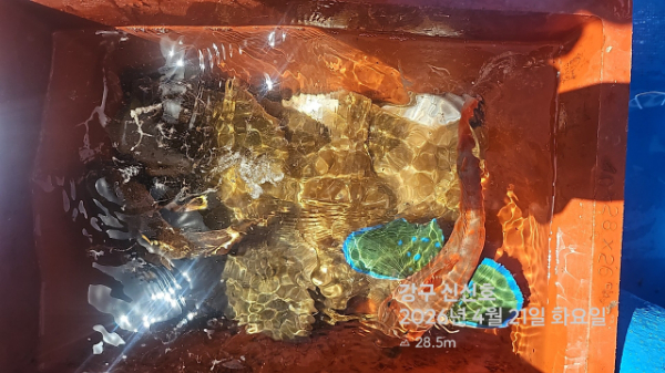 신신낚시 강구점 신신호_사진_20260421_18.jpg