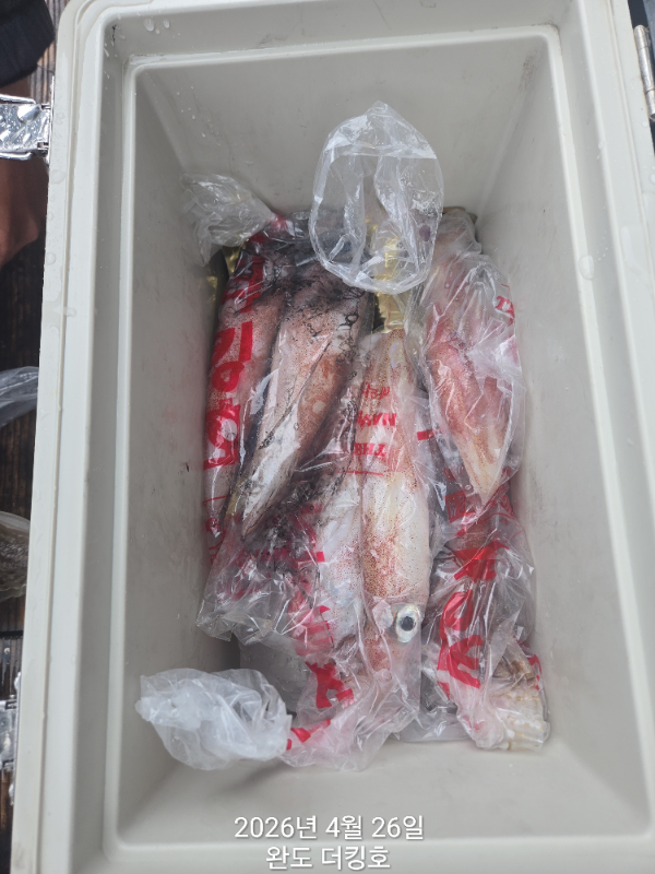1000059705.jpg