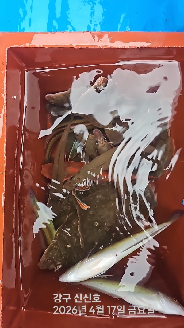 신신낚시 강구점 신신호_사진_20260417_11.jpg