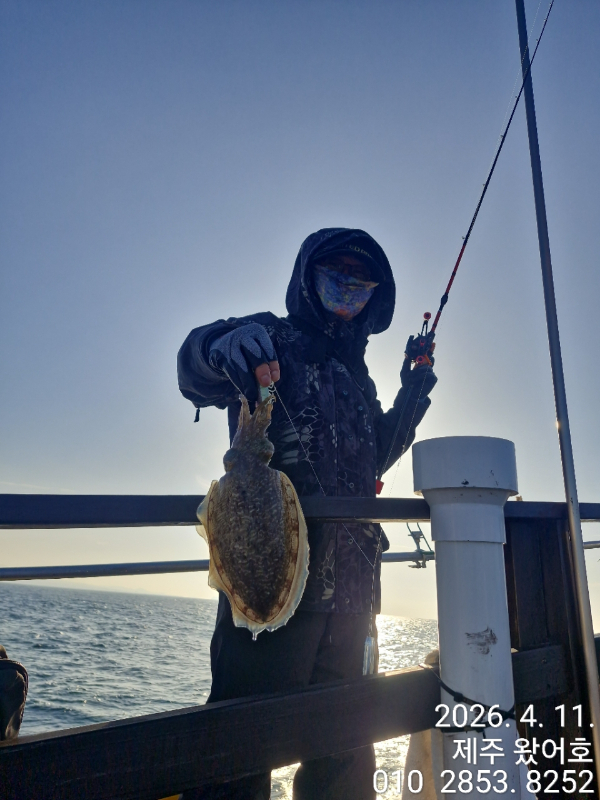 제주왔어호_사진_20260411_14.jpg