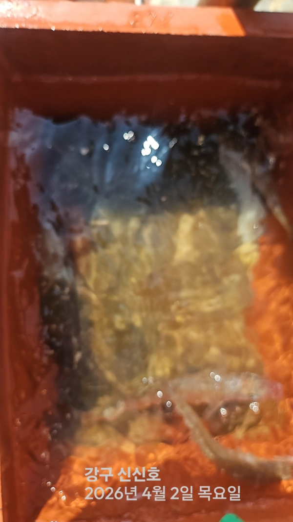 신신낚시 강구점 신신호_사진_20260402_18.jpg