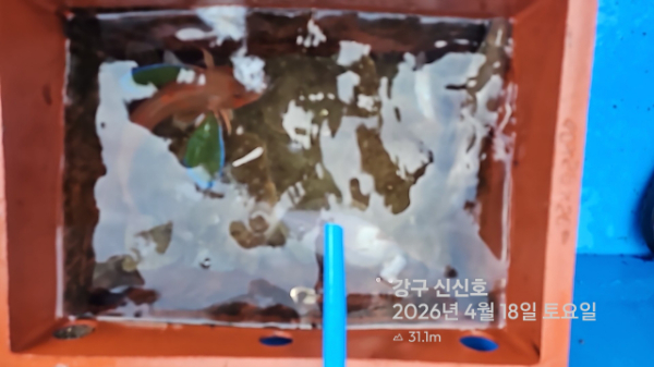 신신낚시 강구점 신신호_사진_20260418_16.jpg