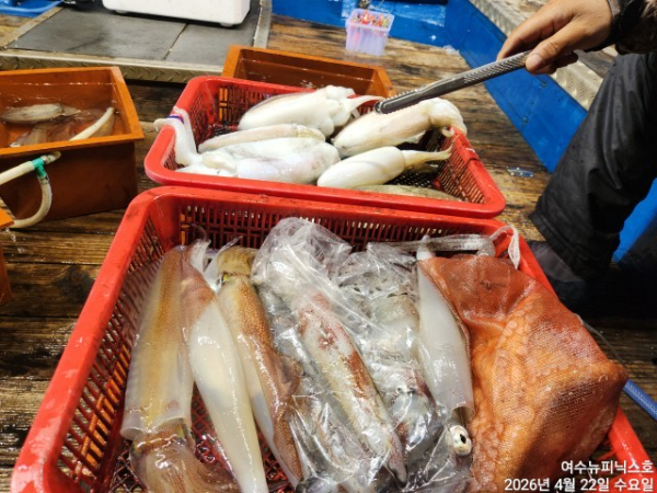 4월22일갑한치 (74).jpg