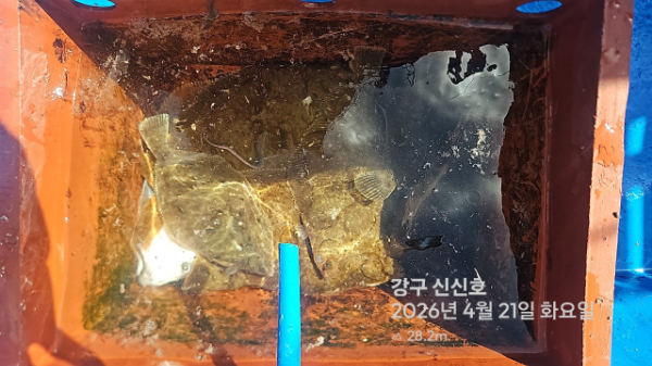 신신낚시 강구점 신신호_사진_20260421_14.jpg