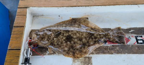 예지퀸호 농어외수질&어초낚시 경기인천권_사진_20260426_10.jpg