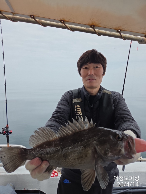 최강피싱 063.463.0800_사진_20260414_17.jpg