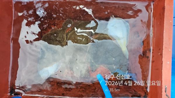 신신낚시 강구점 신신호_사진_20260426_19.jpg