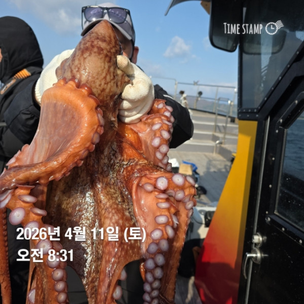 [크기변환]1775890817479.jpg