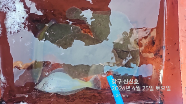 신신낚시 강구점 신신호_사진_20260425_20.jpg