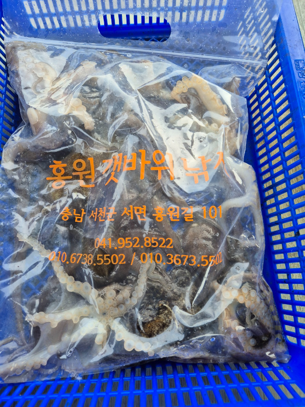 KakaoTalk_20260410_113746912_04.jpg