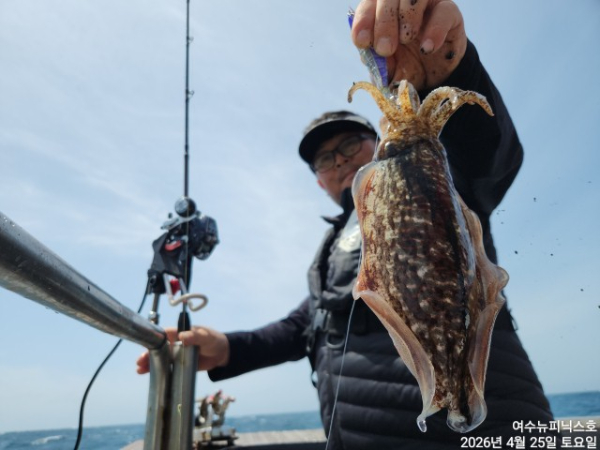 4월26일갑한치 (31).jpg