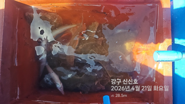 신신낚시 강구점 신신호_사진_20260421_15.jpg