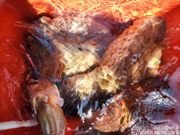 4월8일심해갑 (9).jpg